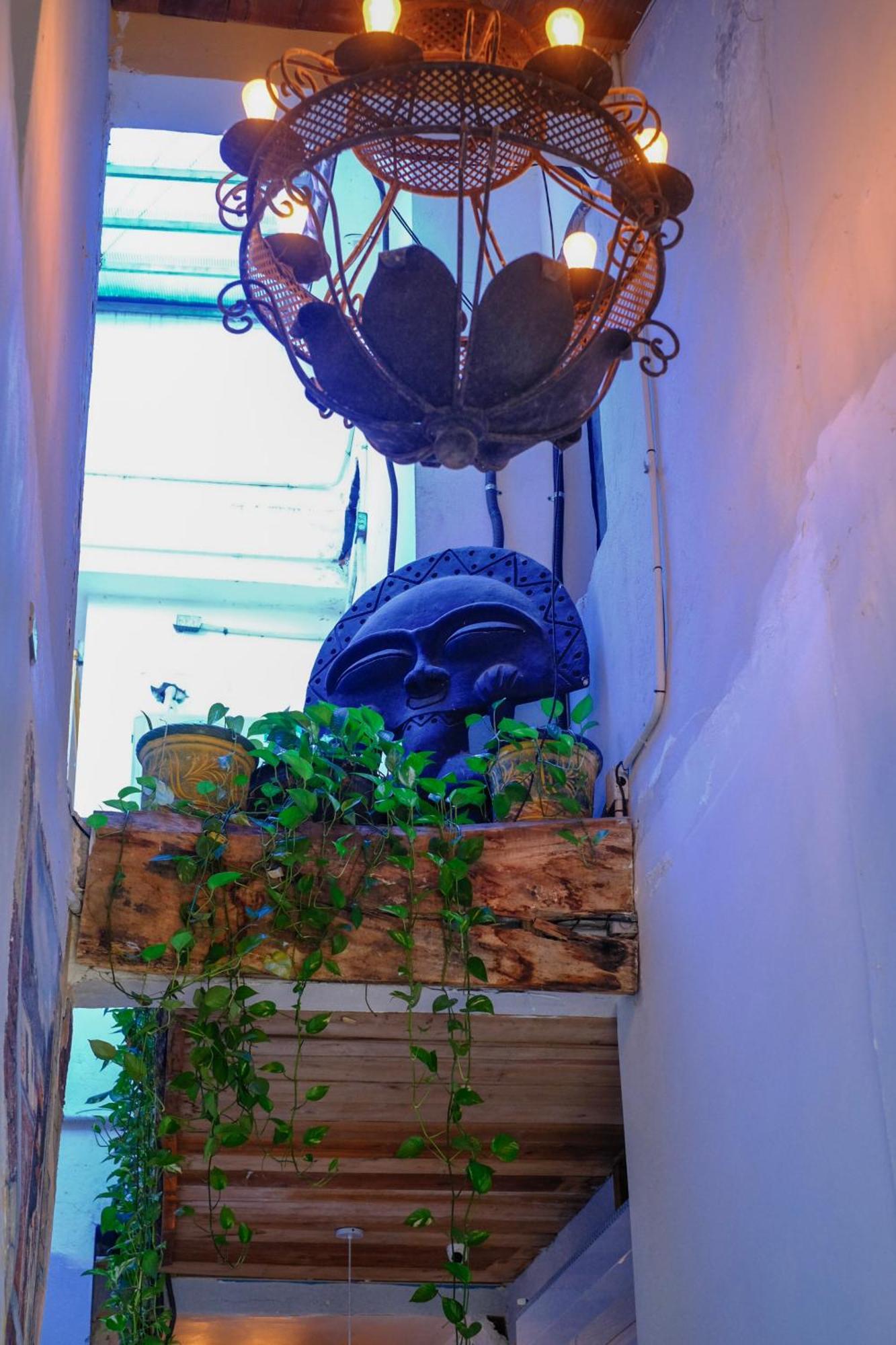 Hostel Gato Colonial Santo Domingo Zewnętrze zdjęcie