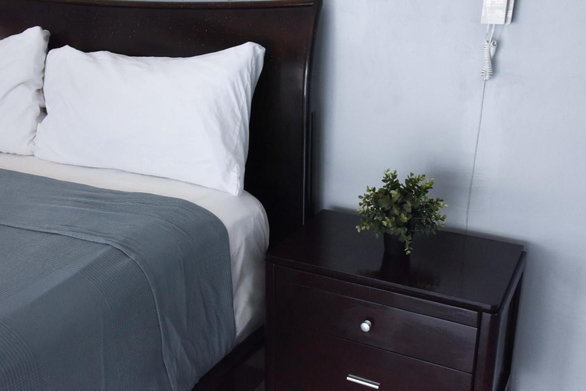 Hostel Gato Colonial Santo Domingo Zewnętrze zdjęcie
